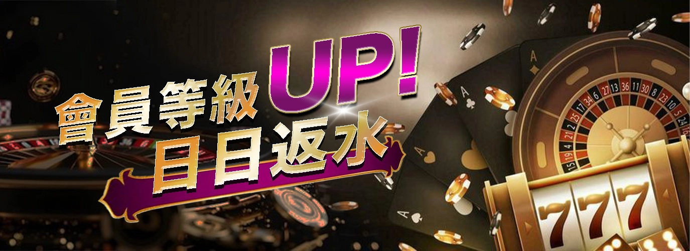 會員等級UP,日日返水1%